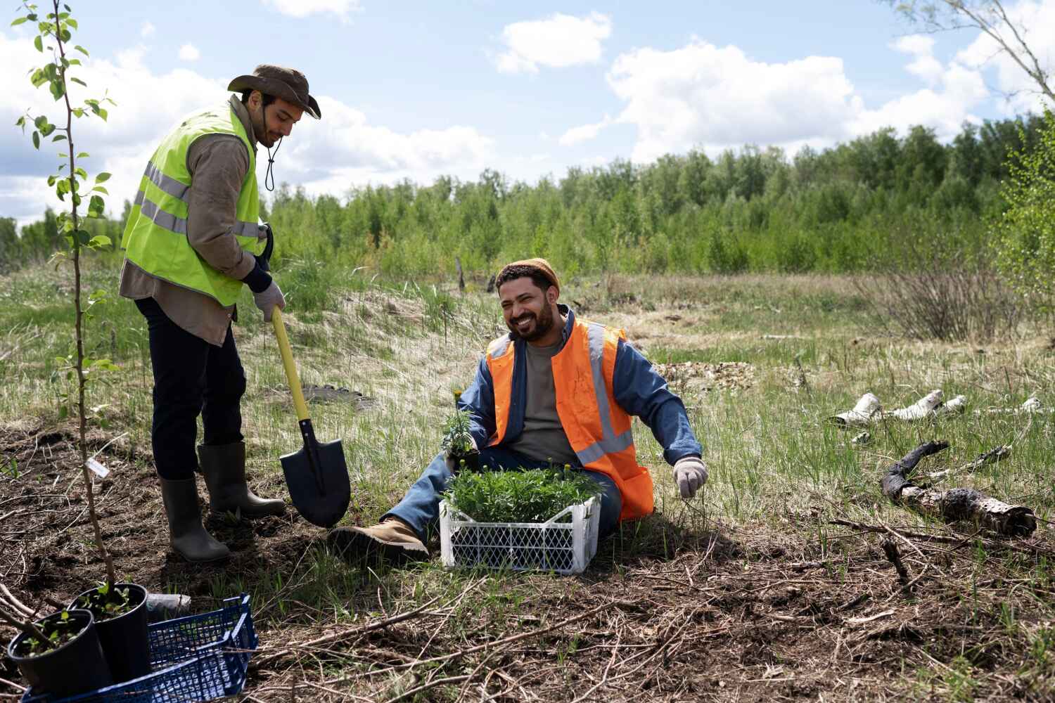 Best Professional Tree Care  in Haslett, MI